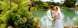 Hawaii Wedding Packages