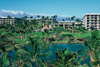 Ocean Front Waikoloa Wedding & Honeymoon