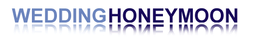Maui Weddings Honeymoons