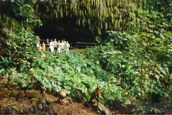 Fern Grotto Wedding
